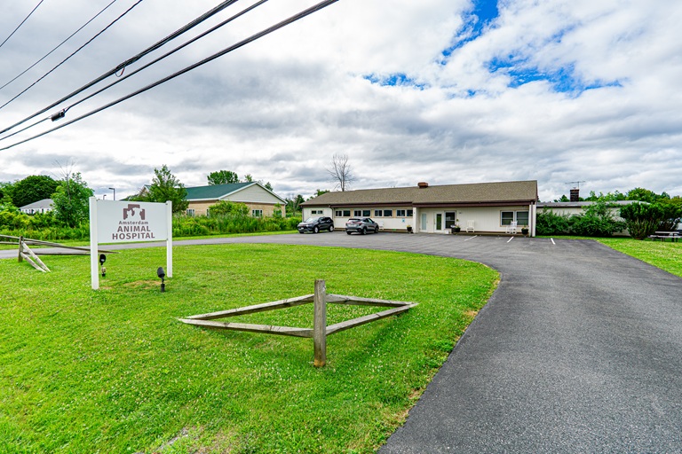 L3729 191 Wallins Corners Road Amsterdam NY