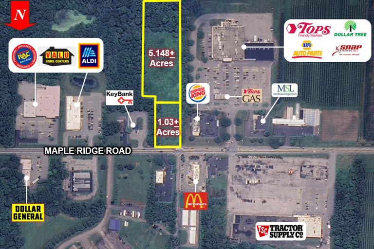 B11238  11216 Maple Ridge Road Shelby NY